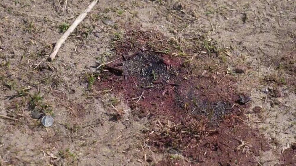 ������� ���������: �������� �� �����, ��� � ���������� ���������������� ����� ��� ���� ������ ����