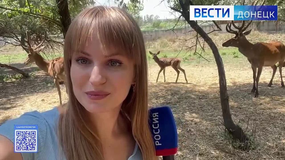 � ������������� �������� ������� ��������� �� ���������� ���� � ��������� � �������� �����, � ����� ����������� ������ ����������� ������������� ��������