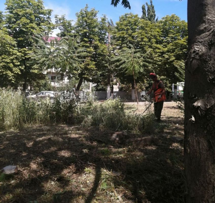 ������ �������: � ����� ���������� ���������� ���������� ������ ������� � ���������� ���������� ��������� �� ��������� �����...