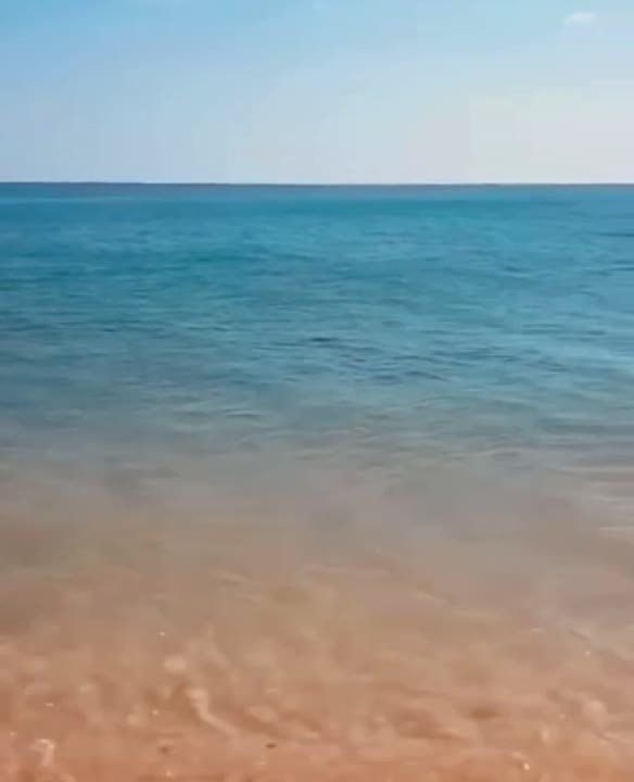 ������� ������ �������� �� ������������� ���� �������� �� ���������