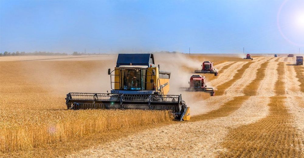 � ���������� ������������ ��������� ��������