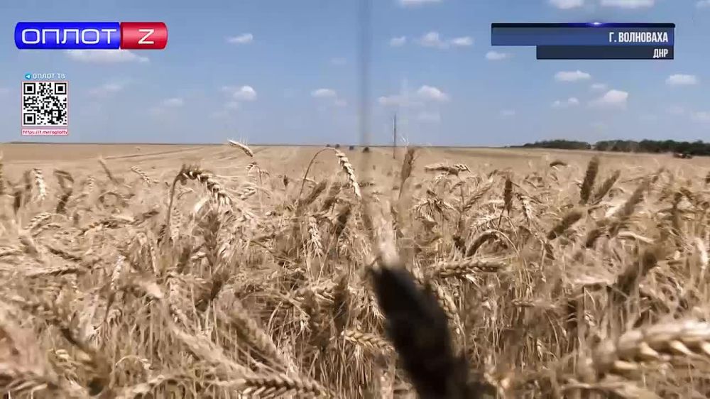 � ��� ��� ��������� ��������