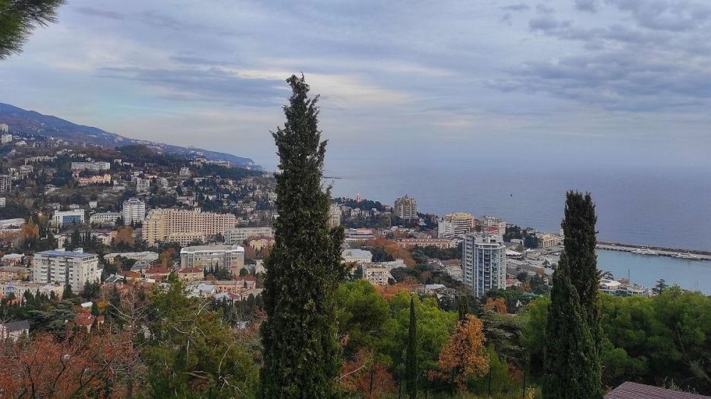 ������������ ����������� ����� � ����� �������� ������������ � ��������������