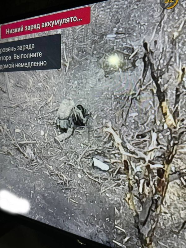 ������ �������: ������������ ������������ �� ������� � �.�