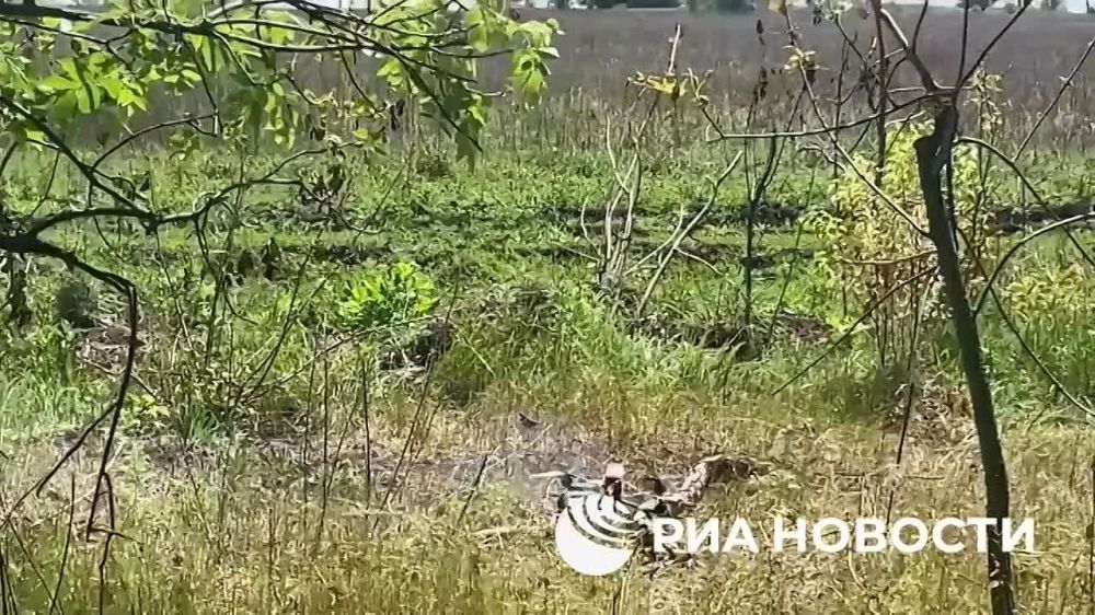 ������ FPV-������ ����������� ����� "�����" ��������� ������������ � ������ ��� �� ���������� �����������, �������� � ����������