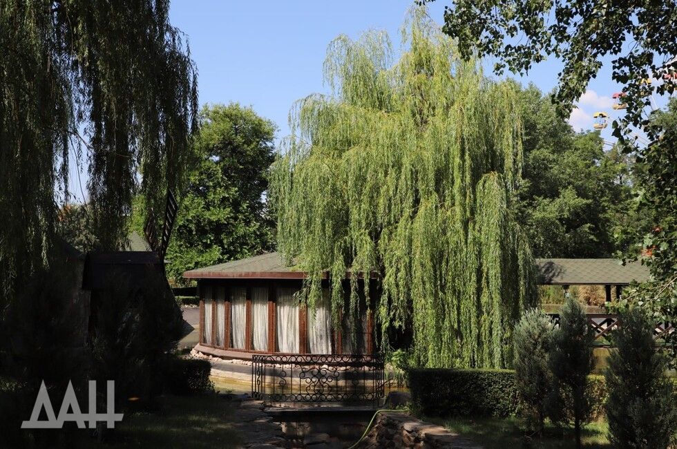 �������� �������� �������, 13 ����