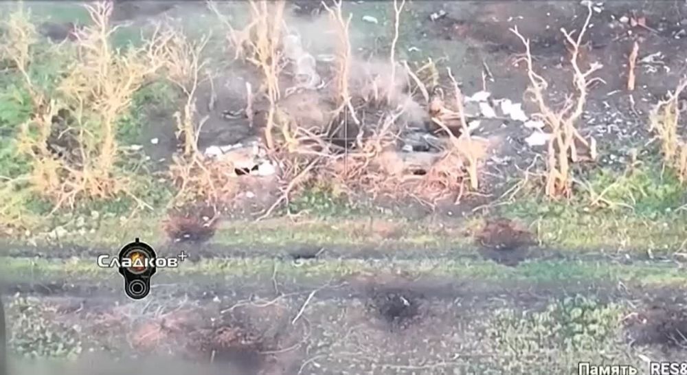 ��������� �������: ����������� ������ʻ ��������� ��������� �����