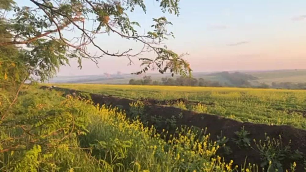 ������ �������: ������� �������� ��� � ���� � ��������������� ����������� ���-1� "���������" �� �������� ������ �������� ���������� ������������ �� ����-�������� �����������