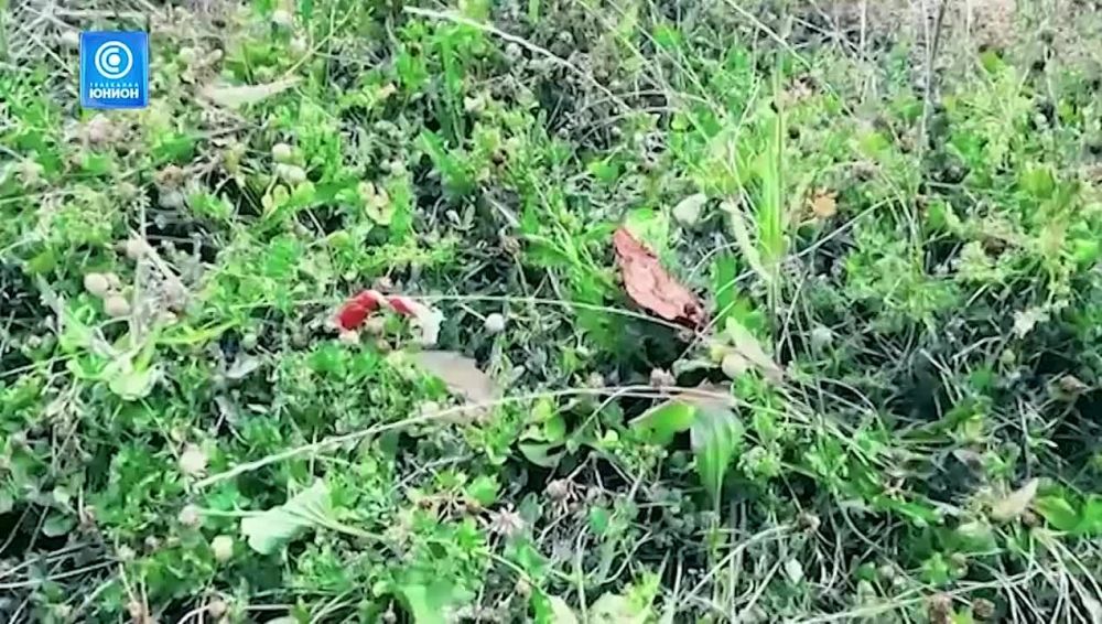 ����� ������� ���������: ���� ���� �� ����� ������� �� ������� ������������ �����������!