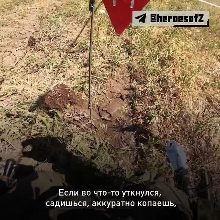 �������� ������ ������ ����� ������