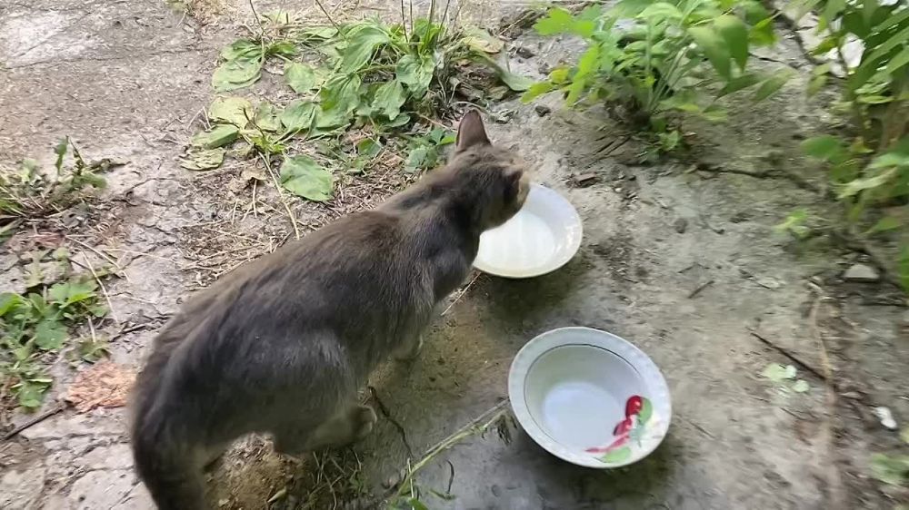 ������� ������: ��� �������� ���� ���������