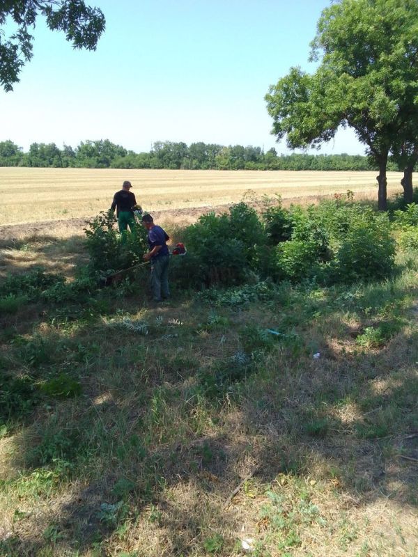 ���� �����������: ������ ������������ ����������� ���� ��������� ������ �� ��������� ������� � ������� �� ���������� �. �������: