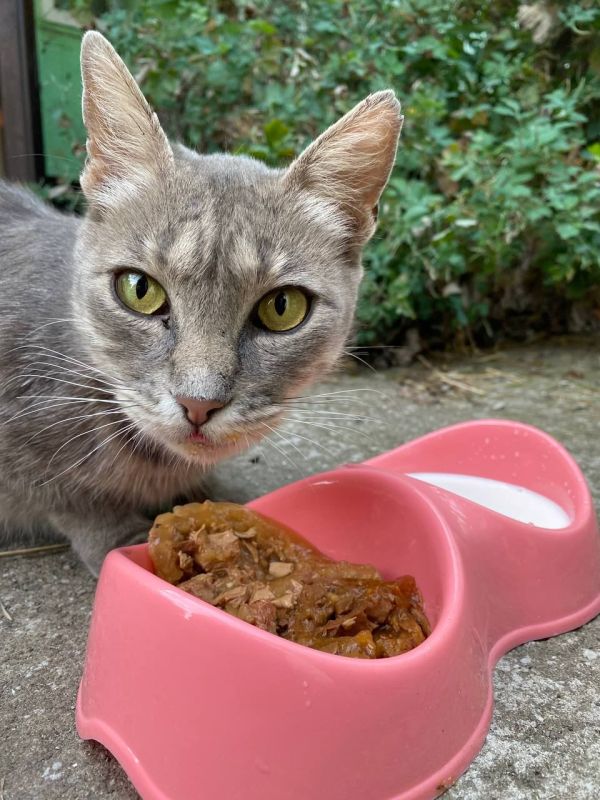 ������� ������: ����� ����� �������� ���� ����������� �����, � �� ���, ��� ������������ � ��������� �� �����-�� ������ ���