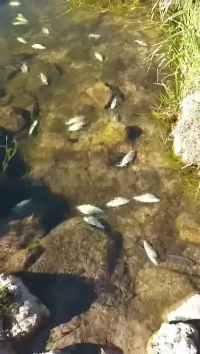 � ���������� ������ ���� ������������ ��� �������� �������� ���������