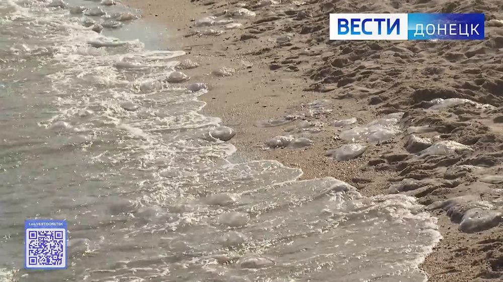 ��� ������� �������� ����� ������ � ��������, ������� ���������� ���������?