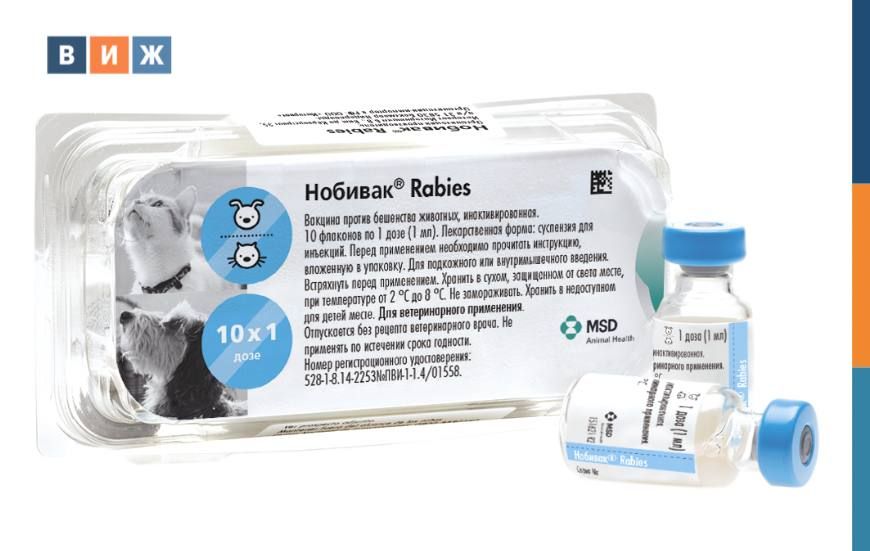 � ������ �������� �������������� ������� ��� ����� � ����� �������� Rabies�