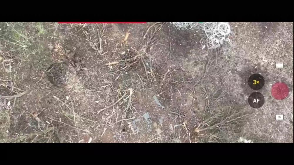 Дмитрий Стешин: Работают Соколята "Сокольничьего", три минуты мясорубки под завораживающий трек со смыслами