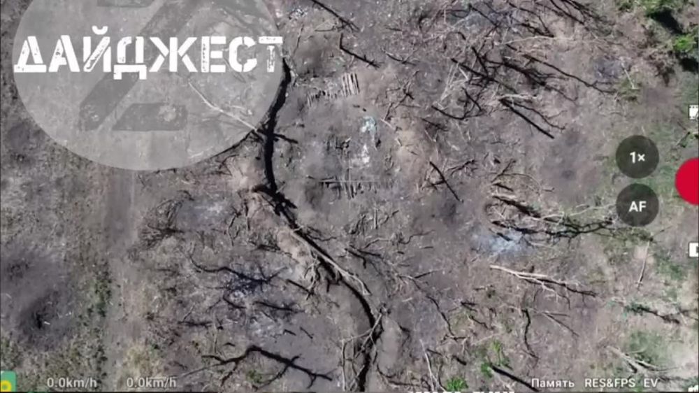 ������ ����������: �� ������ ���������� �������� � ���������� ������������ � �������� �����������, �� ������ ��������� ����������� ������������ ������