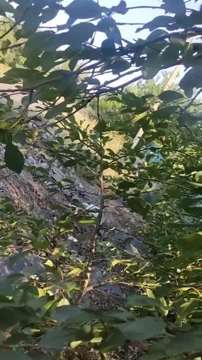 ��� ��� ������ ����������� ������ ������� �������� �� �������-����������� ������������