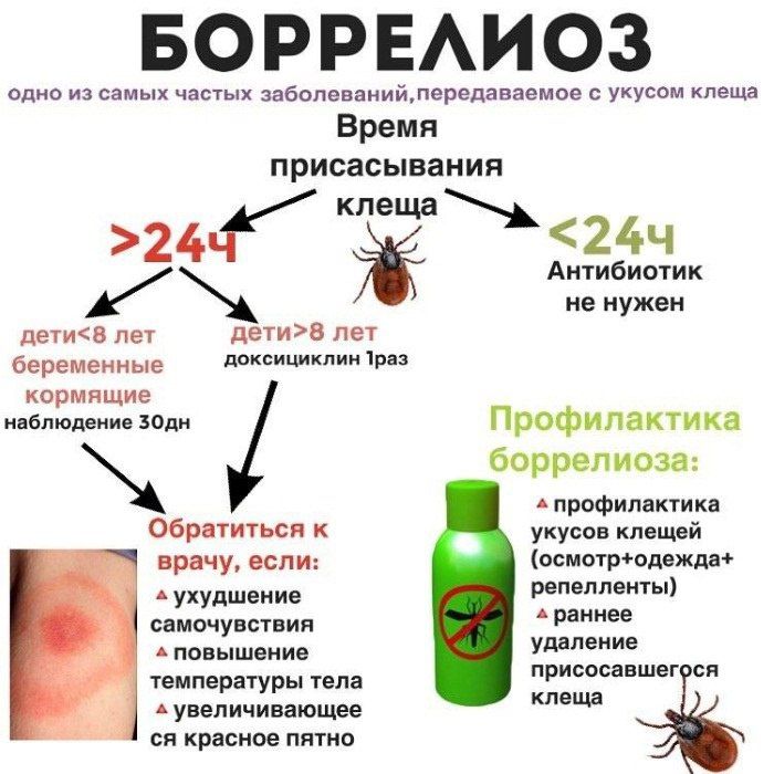 ��������� �������� ���������(������� �����) � ������� ������������ �����������, ����� ������� ����������� �������, ���������� ������ ������ � ������� ��������� ��������