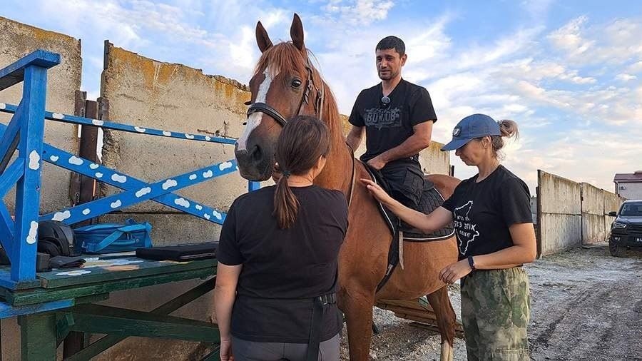 ������� ���������: ������� ����: ��� ����������������� ����� ��� ����� �������