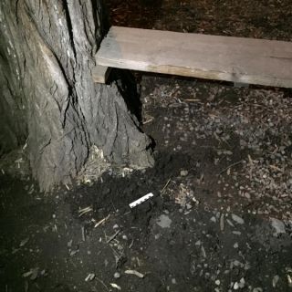 � ��� �������� ������������� � ���������� ������� ������������� �������