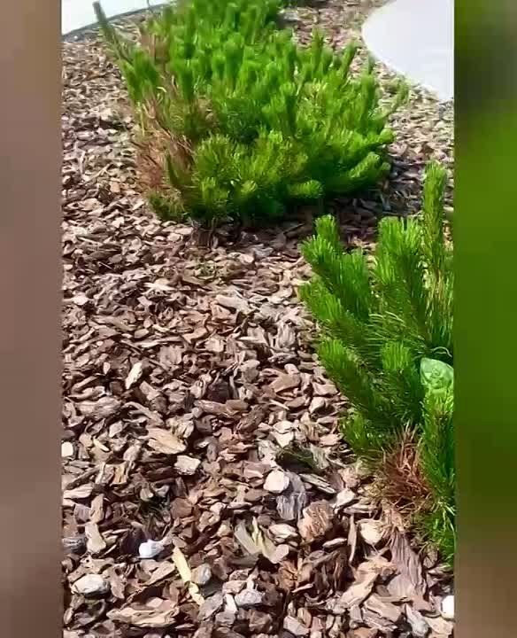 ������� ��� ���������� �������� ����� ������������ ��� ����� �� ����� ������������� ������