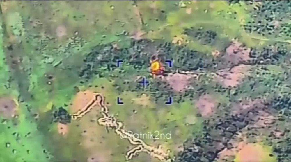 ������ ��������: 81 ��������� ������������� ��� ����������� �� ������ �� ��������� �����������