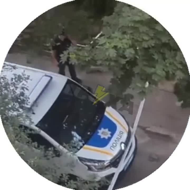 ����� � ����� ��������� �� �������� ����� ������ � �� ����� ����������� ����� �������, �������� ���� �����