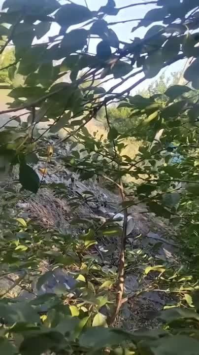 ������� ������� ���������� ��������� �� ���������� �� ��� ���� ��� ��� ���������!