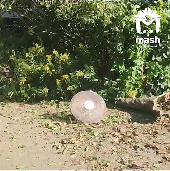 ����� ����������� �� ����� � ��������