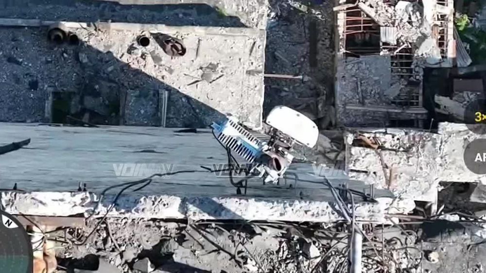 ����� �����: ������������ ��������� � �������� ����������� ������������ �� ���������