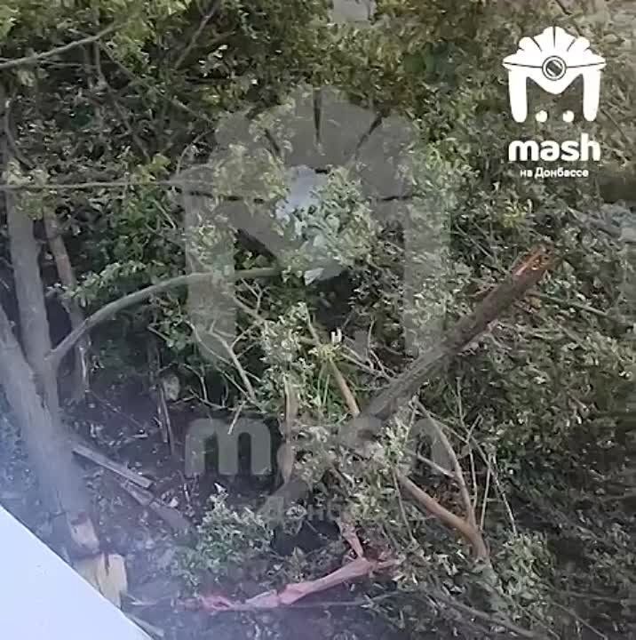 ������� ������ ��������� ����� �� ���� � 157 �� ����� ����������� � ���������