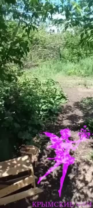 ��� ������: �������� �����������, ����������� �������� ���