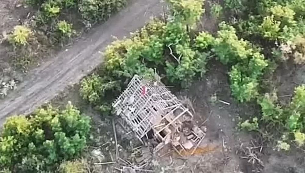 ������� ���������: �� ������ ����������� �������� ���������, ���� "���" ������ ����� �������� ������, ���������� ���������� ����� �����-�������� � ���, ���� �� ��������� ����������� ������� ��� �������� ���������� �����