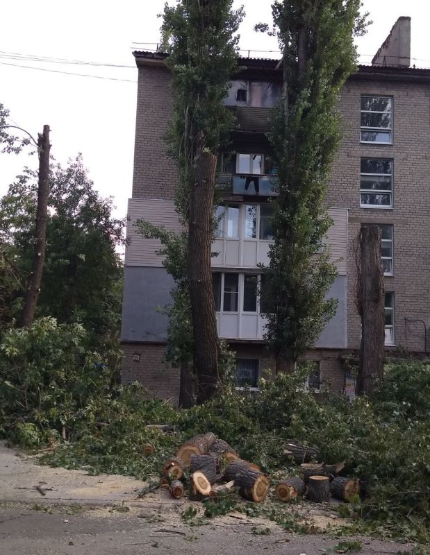 Василий Ткачук: Силами МУП АГД "Управляющая компания Калининского района г.Донецка" выполнены работы по кронированию и санитарной обрезке ветвей зелёных насаждений на территории многоквартирного жилого фонда по адресам: