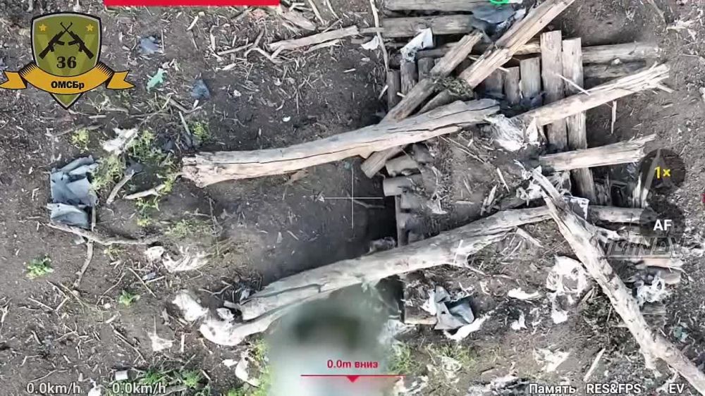 ������ � ������� 36 ������� �� ��������� �� ����������� �����������