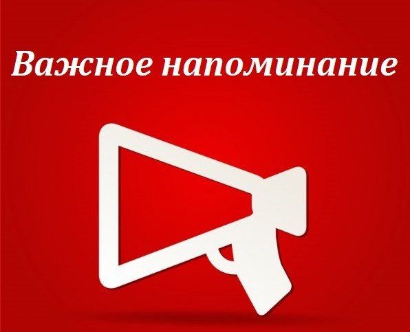 ���������-������������� ���������� �� I ��������� 2024 ���� ���������� ������������ ��� ���� ������������������ ��ʻ �� 31 ���� 2024 ����!