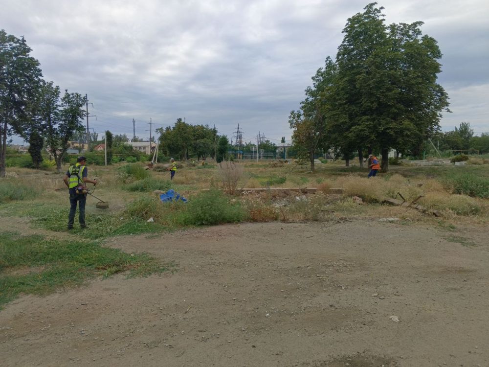 Константин Зинченко: В Волновахском муниципальном округе продолжается покос сорных и карантинных трав