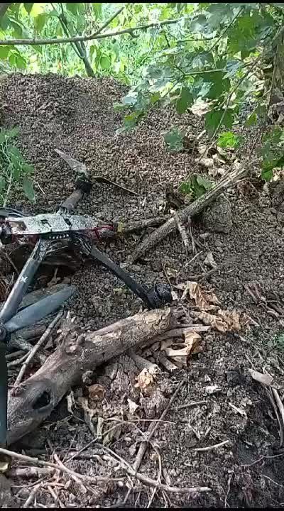 ������ �������: ����������� "��������", ������� �������� ������� ��������� fpv-������ �� �������� �������� ���������� ������������ � ����������� �� ����-�������� �����������