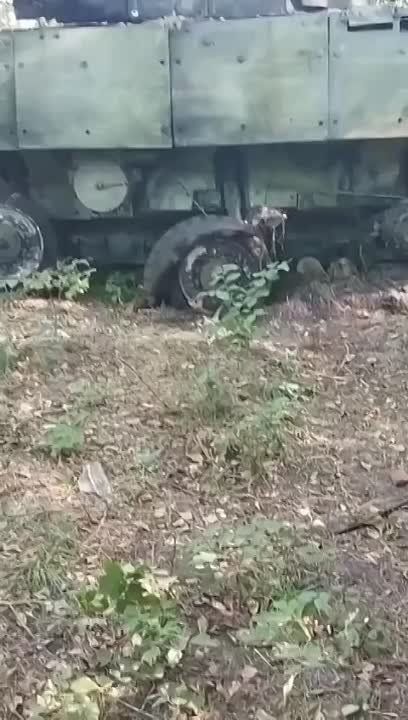 ������ �������: ������������ � �������� �������� ���������� ���������� ���������������� KTO Rosomak ��������� ������������