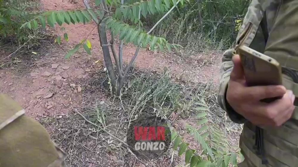 WarGonzo: ��� � ������� ��������� ������ ������� �������