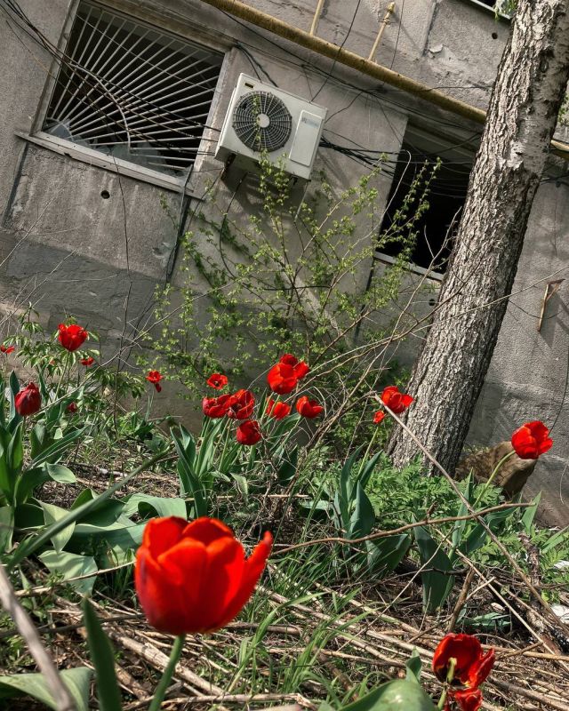 ������ ����������: ������� �������� ����.��������� 2022