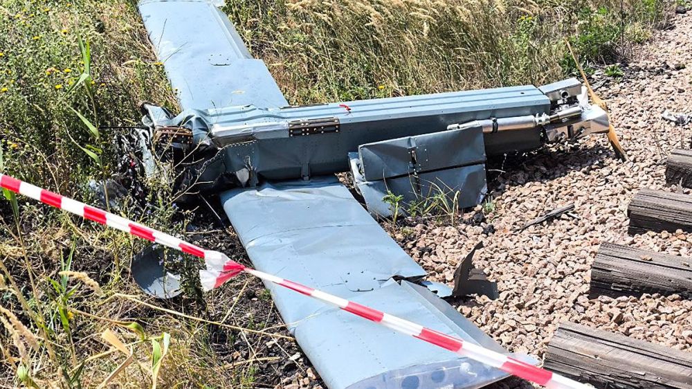 Кто «выносит мозги» вражеским дронам: Новая российская система РЭБ «Купол» навела шороху в зоне СВО