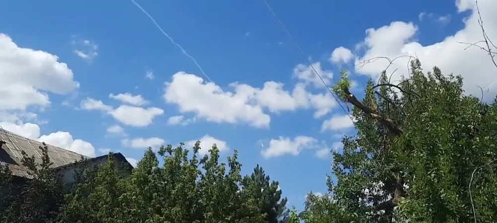 ������ ���������: �������� ��� � ��� ������� ������� � ���������������� �������� ���������� �������� � ���� ��� ���