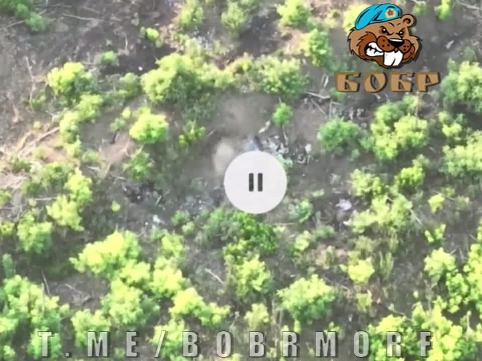 ���������� ����������� ���� ��������� � �������� ������� ��������� �� �������� �����������