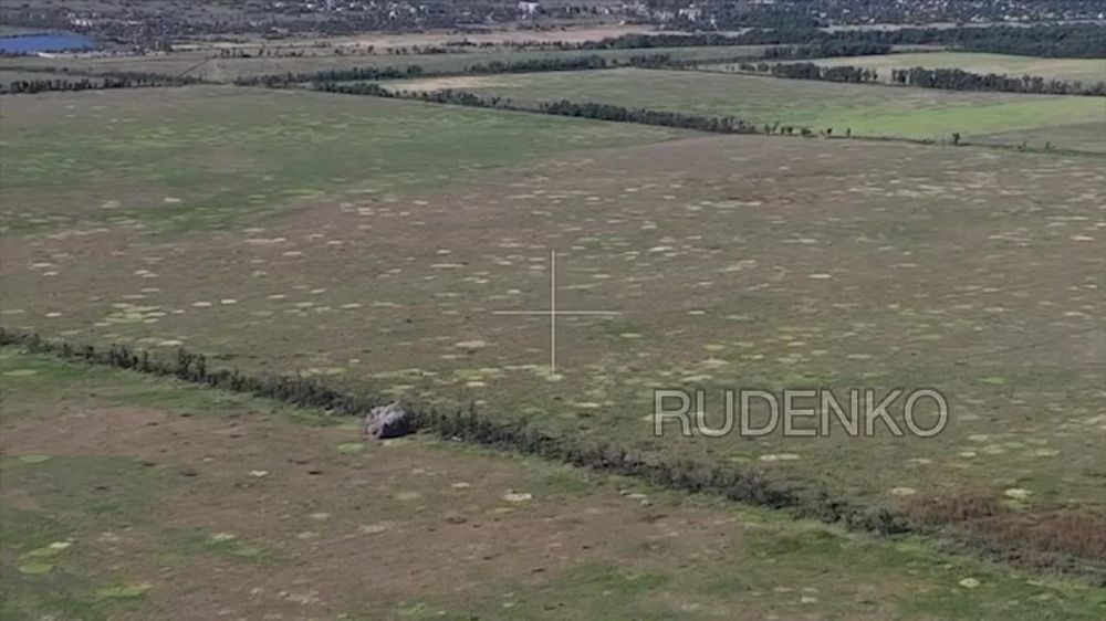 ������ �������: ��������������� ������������� ������ ����������� ����� ���������� ������� � ������ ������ ���������� ������������� �� �������� ����������� ���