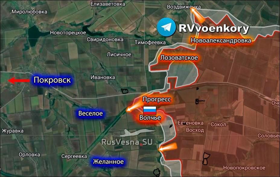 ������ ����������: �� ���������-���������� ����������� ����� ������������ �.�