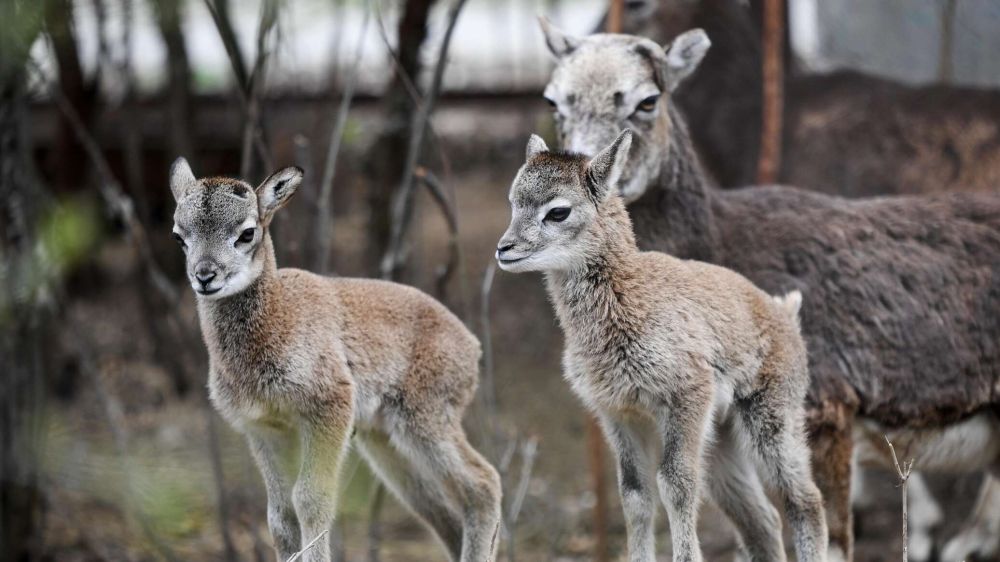 ������� � ����� ������� � ���� ����� 200 �������� �� ����� �������� � ������ ���