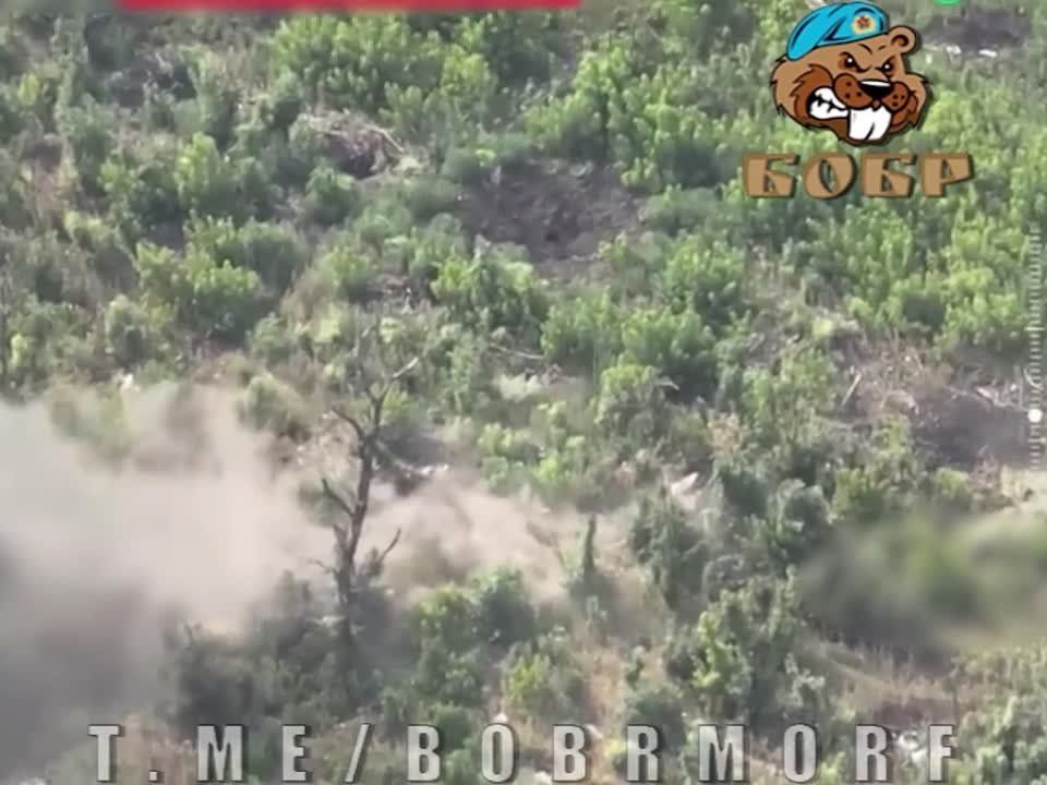 �������� �����������. �������� ������- ���� �����